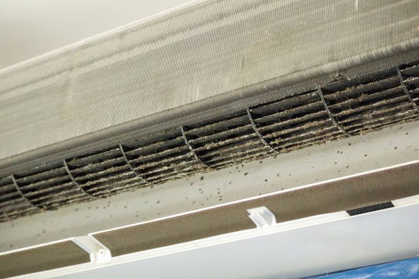 Best Air Vent Cleaning Services  in Bayonne, NJ